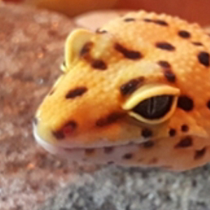 Fundraising Page: Santiago Estevez-Campo